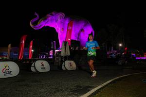 BIB: 
                            <button type="button" onclick="openModal(26534556)" class="btn btn-primary btn-sm float-right btn-popup" data-toggle="modal" data-target=".modal-high-quality">
                        <i class="fas fa-shopping-cart"></i> Add to Cart
                    </button>
                                            <button type="button" onclick="isThisMe(26534556, true)" class="btn btn-success btn-sm float-right btn-popup btn-isme hidden" data-toggle="tooltip" data-placement="bottom" title="นี่คือรูปของคุณใช่ไหม คลิกที่นี่เพื่อเอาเข้าอัลบั้ม">
                        <i class="fas fa-plus"></i> Add to album
                    </button>
                    <button type="button" onclick="isThisMe(26534556, false)" class="btn btn-warning btn-sm float-right btn-popup btn-isnotme hidden">
                        <i class="fas fa-ban"></i> Remove from album
                    </button>